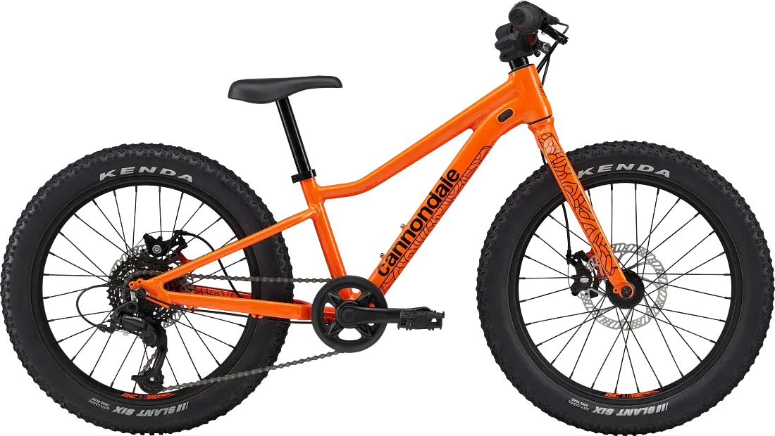 Cannondale Kids Trail Plus 20