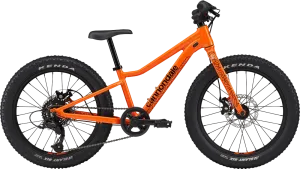 Cannondale Kids Trail Plus 20