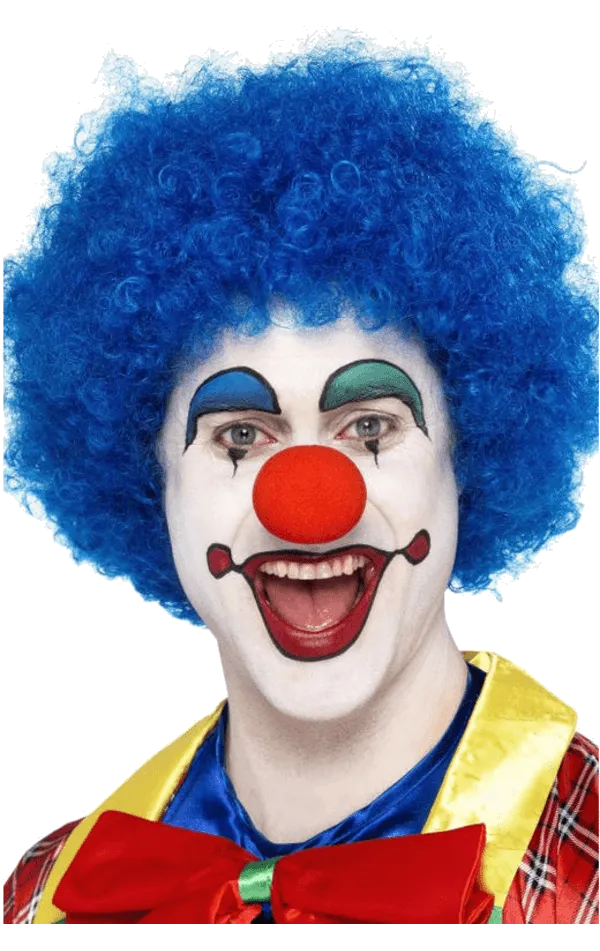 Economy Clown Wig in BLUE