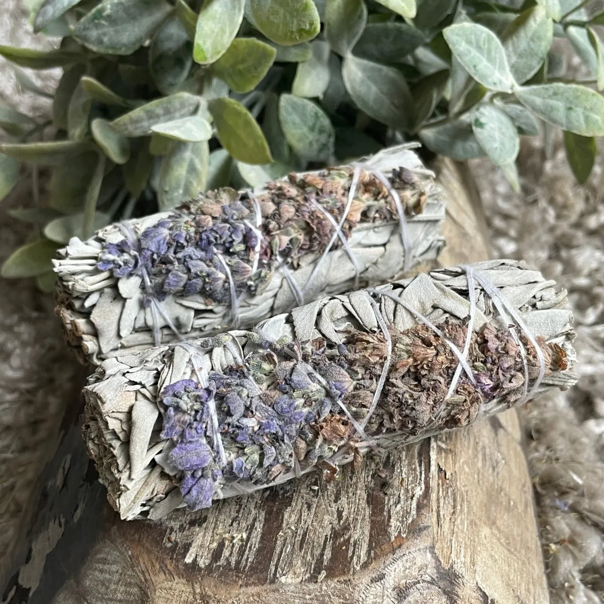 Lavender   White Sage